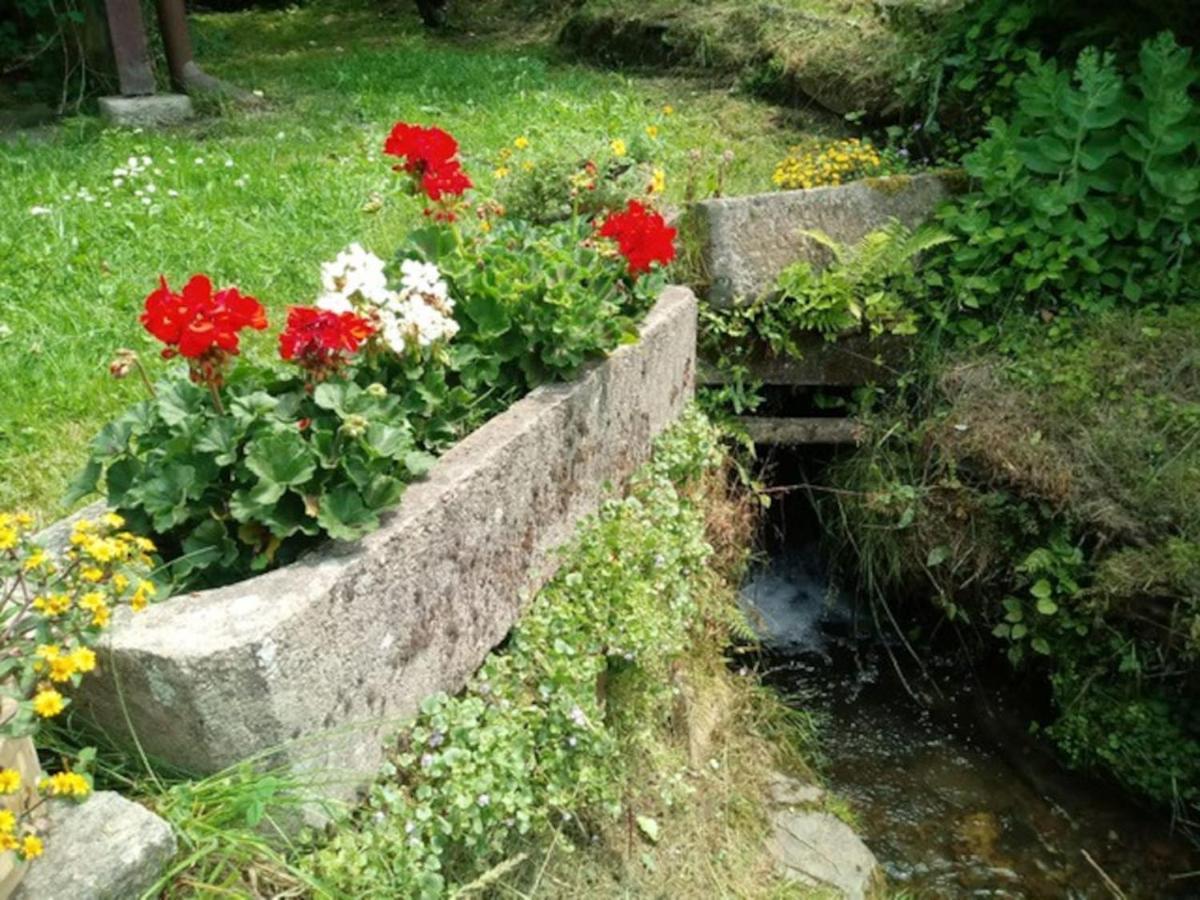 Villa Chaloupka Na Konci Sveta Raskov Esterno foto